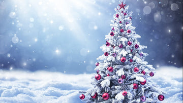 Christmas Collection